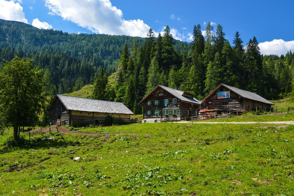 Schmiedlehenalm Apartment Obertauern Luaran gambar